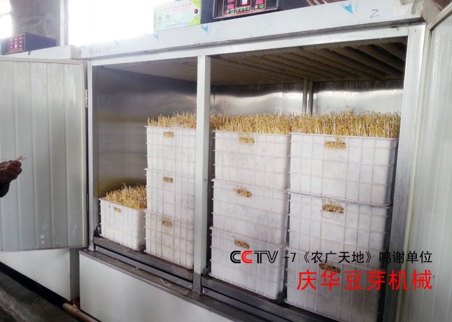循環(huán)水豆芽機(jī)