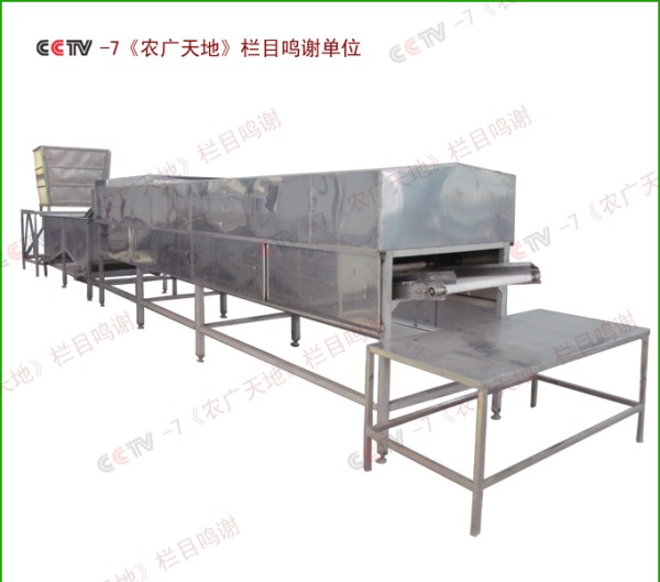 全自動黃豆芽清洗機(jī)